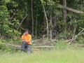 Tn DSC 4014